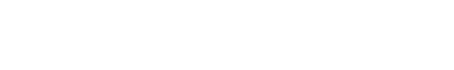 Our Partner